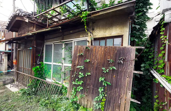 老朽化して植物に覆われた空き家