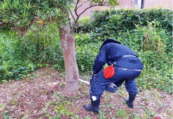 庭で伐採作業をする職人